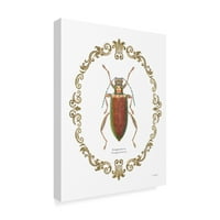 Трговска марка ликовна уметност „украсување на Coleoptera VI 'Canvas Art by James Wiens