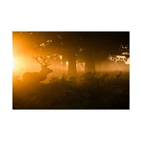 Стјуарт Харлинг „Стаг во маглата“ уметност