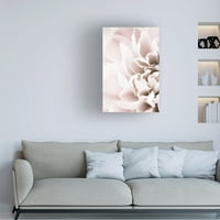 Студио III 'Chrysanthemum No 02' Canvas Art