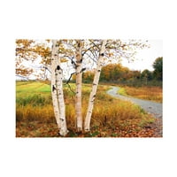 Willow Way Studios Inc 'Birches' Canvas Art