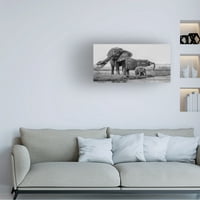 Филип Чанг „Семејството на слоновите“ уметност